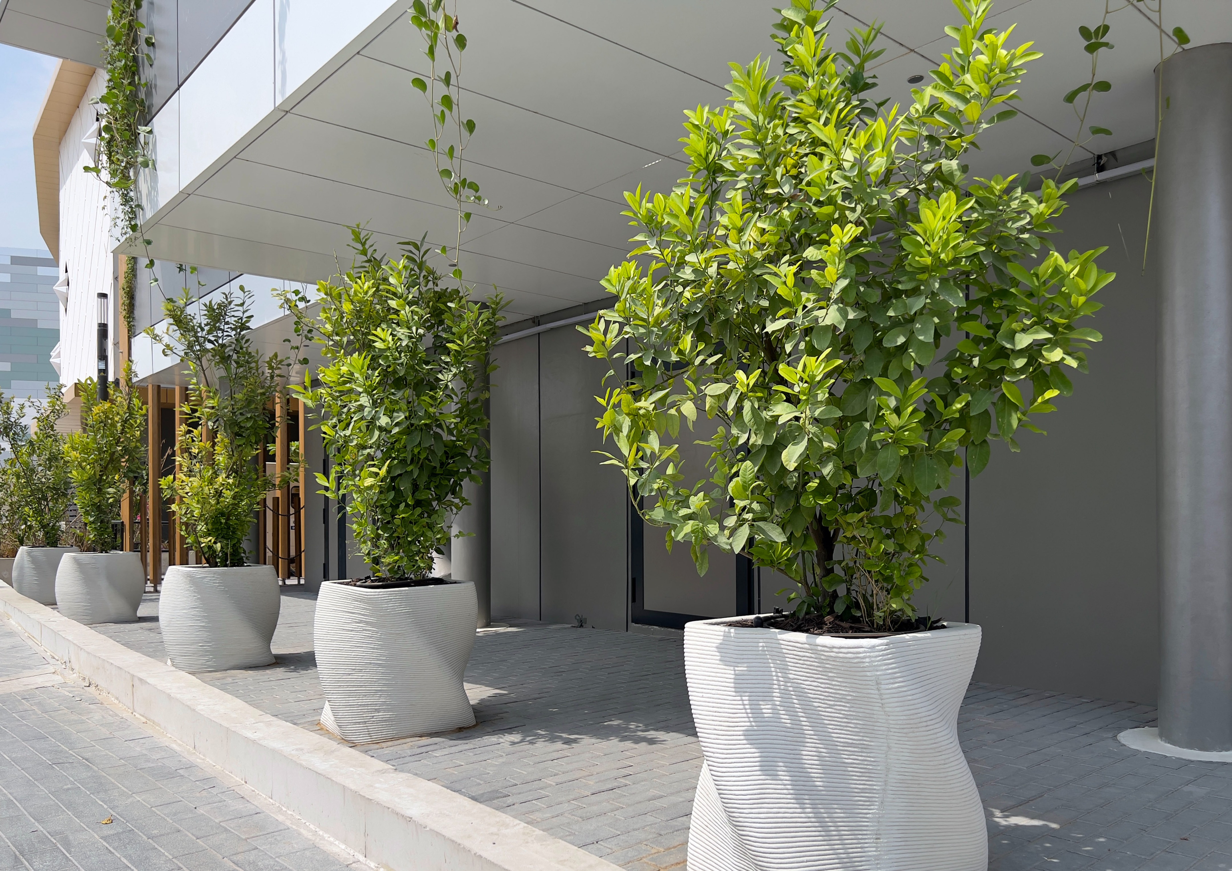 2020 迪拜世博比利时馆-46