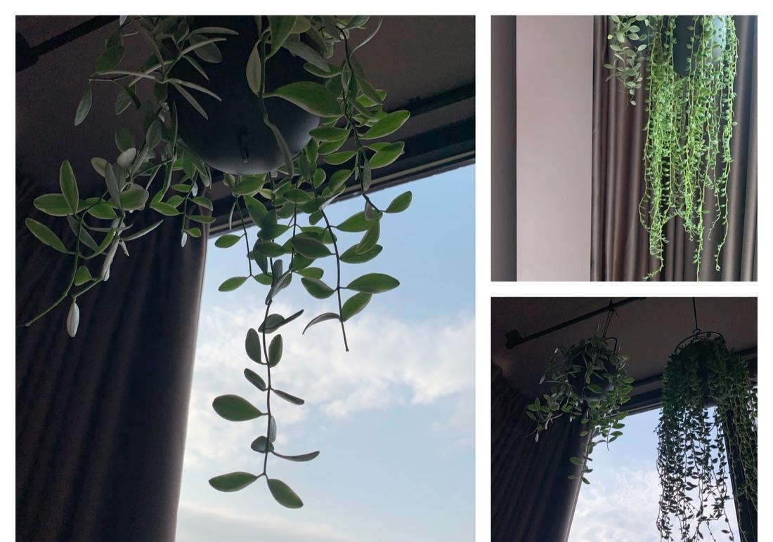 蔚木未来室内建筑设计丨平层丨沉 浸 | 暮色邃蓝-37