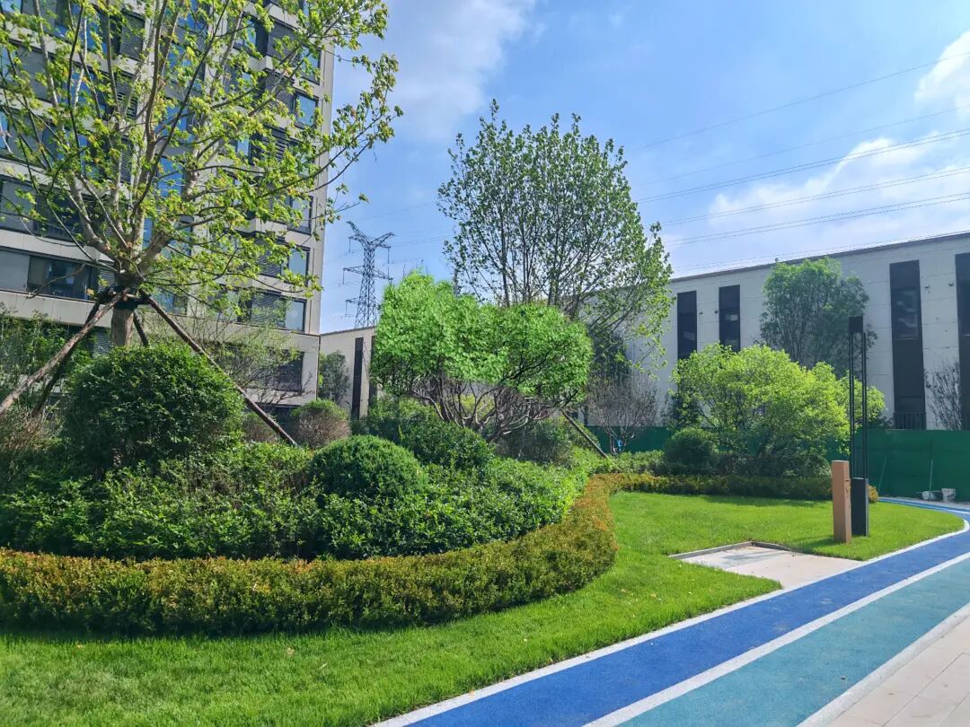 沈阳风景园林股份有限公司施工作品展I中粮·京西祥雲项目Y1园林景观工程-36