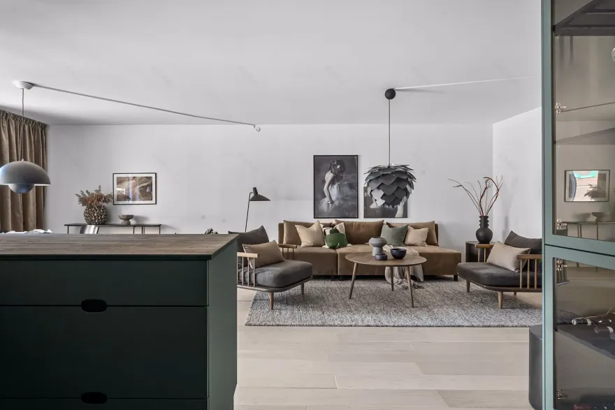 绿色、黑色和木质的现代公寓设计-8