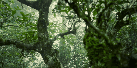 景迈山·茶马古窖丨中国云南丨MASA Studio 建筑事务所-15