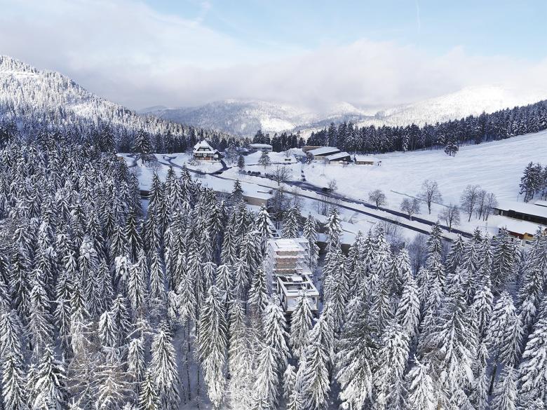 Nationalpark Schwarzwald 访客中心丨德国-43