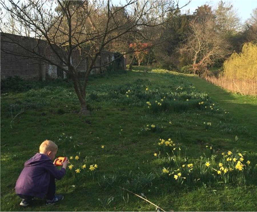 Court Lodge园林景观项目丨James Pulham and Son-22