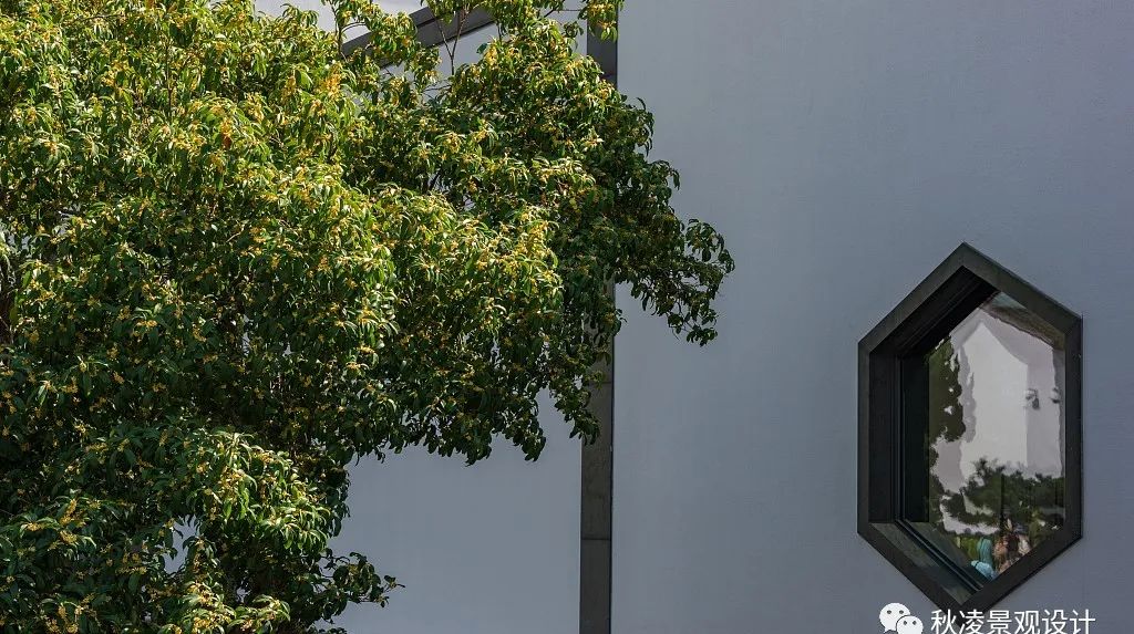 园林文化——寓意解析 | 四君子、花王与雪中四友-203