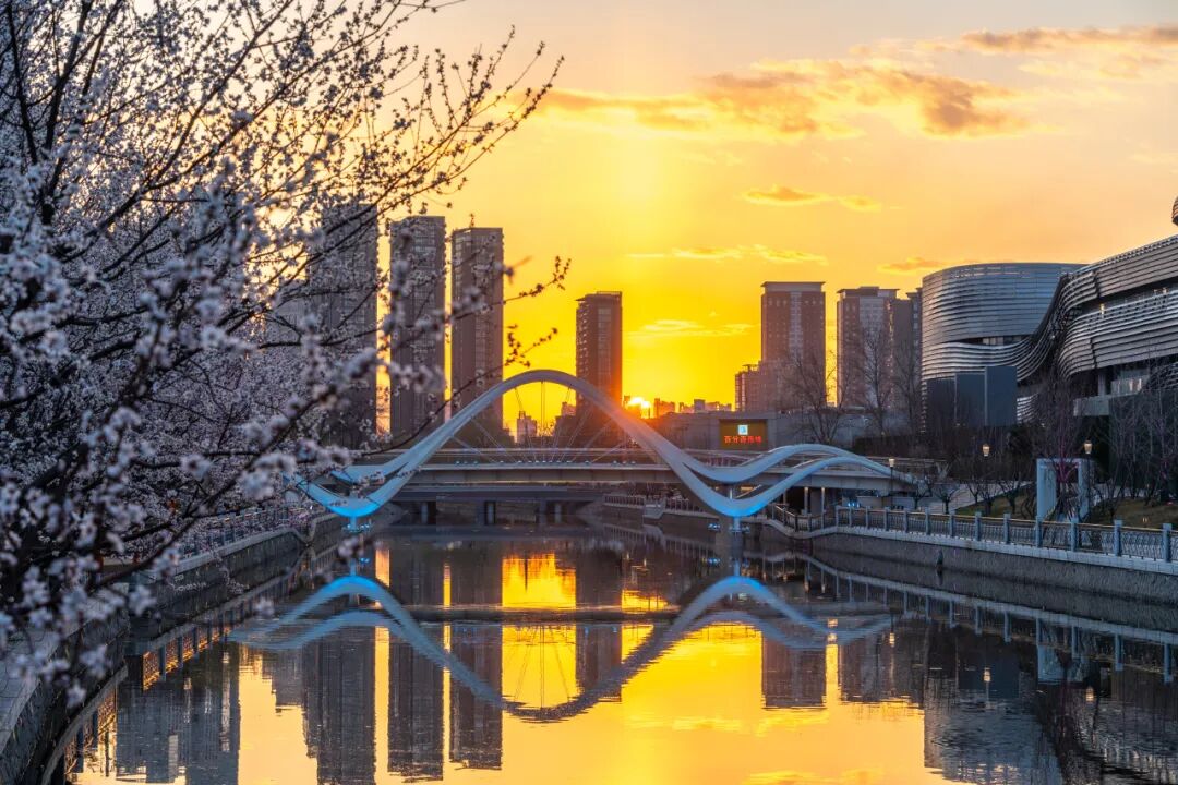 京城水岸再添坝河春色，北京首条游艇航线年底开通！-59