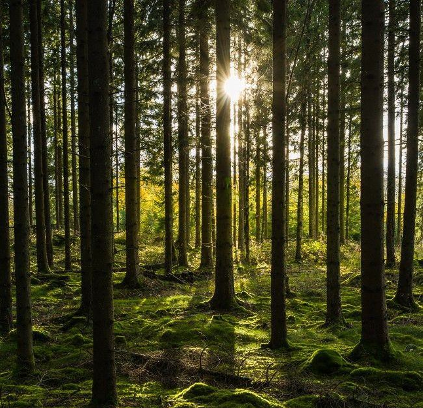 栖上民宿丨中国四川丨ABD琥珀设计-9