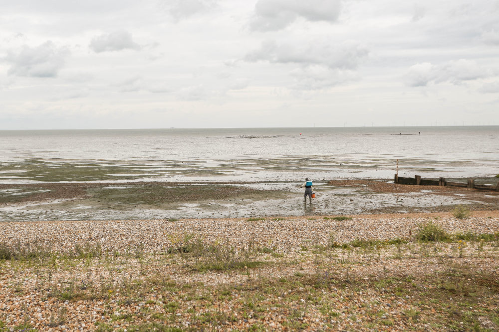 海边避暑别墅-5