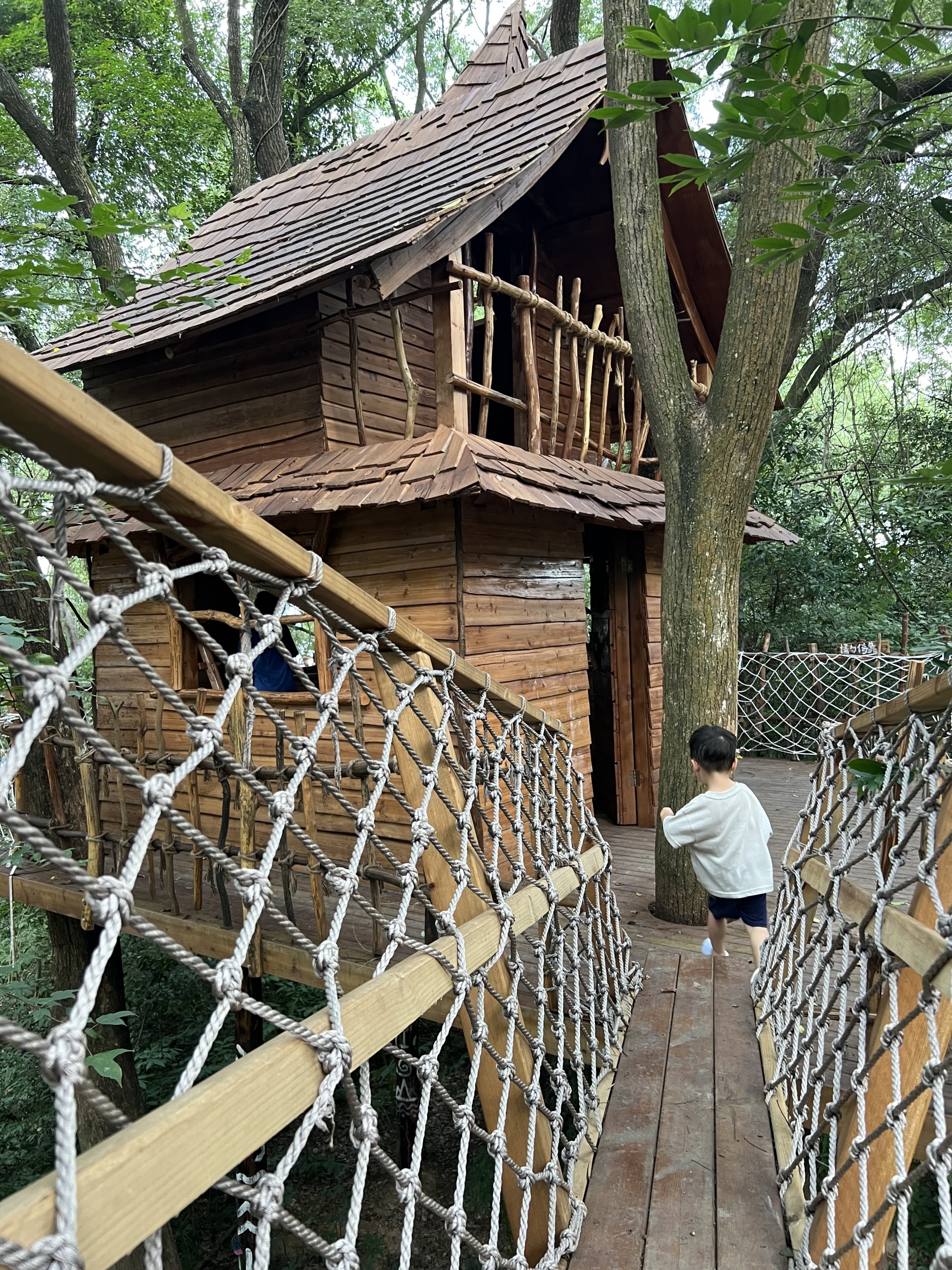 树蛙哇哦乐园丨中国新余丨深圳市派澜儿童游乐-173