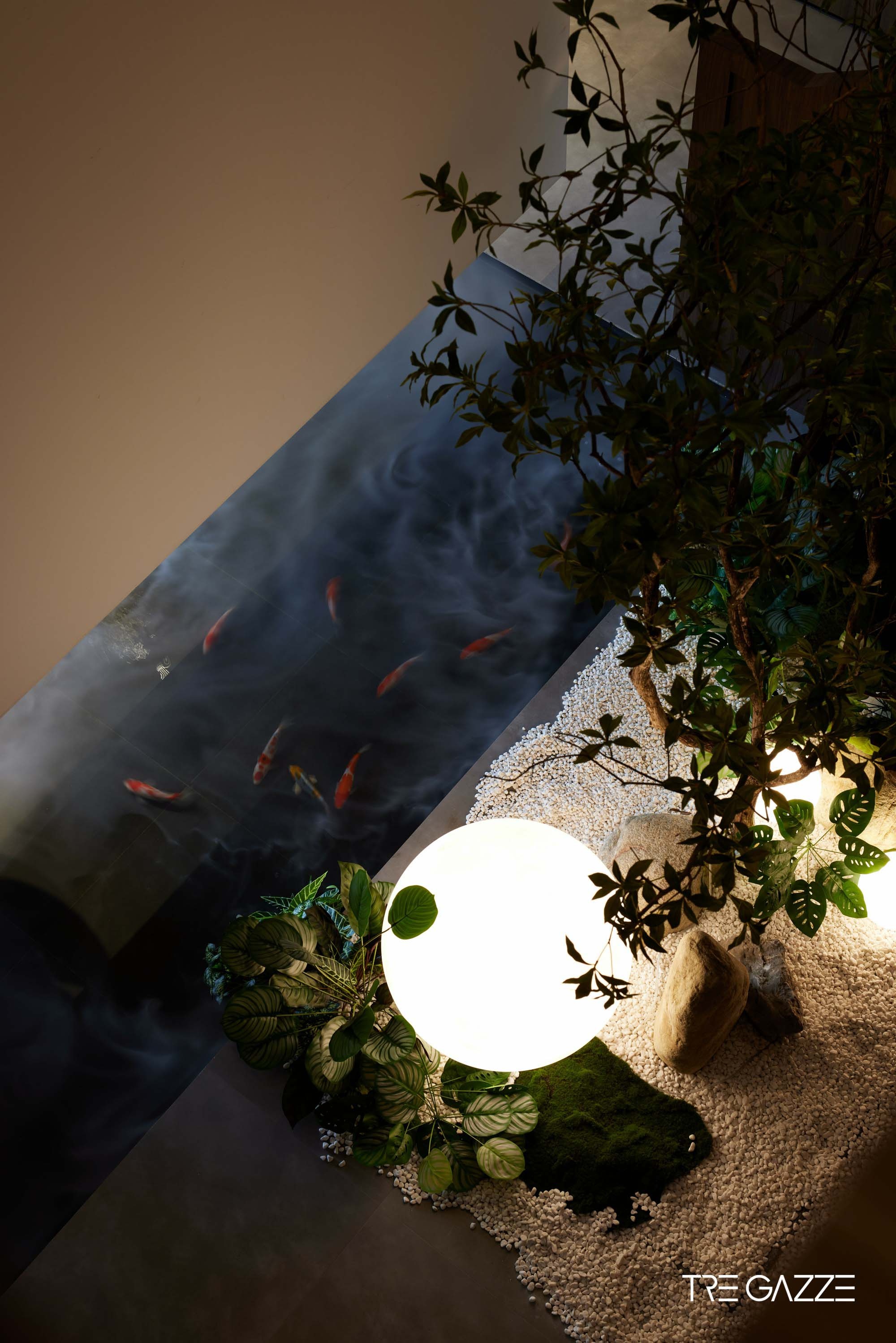 鹊临潍坊｜自然共生空间诗篇丨中国潍坊丨三只喜鹊-0