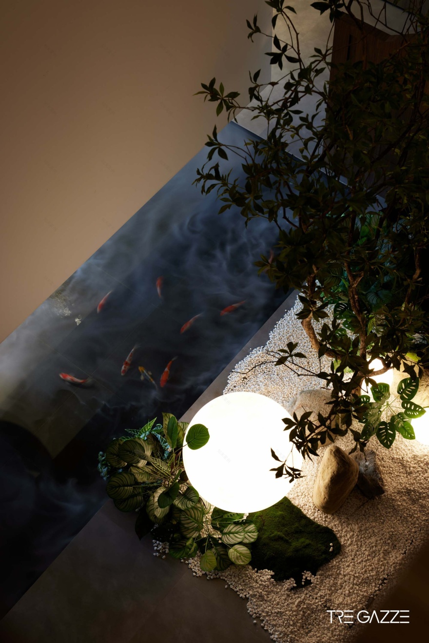 鹊临潍坊|自然共生空间诗篇丨中国潍坊丨三只喜鹊-0