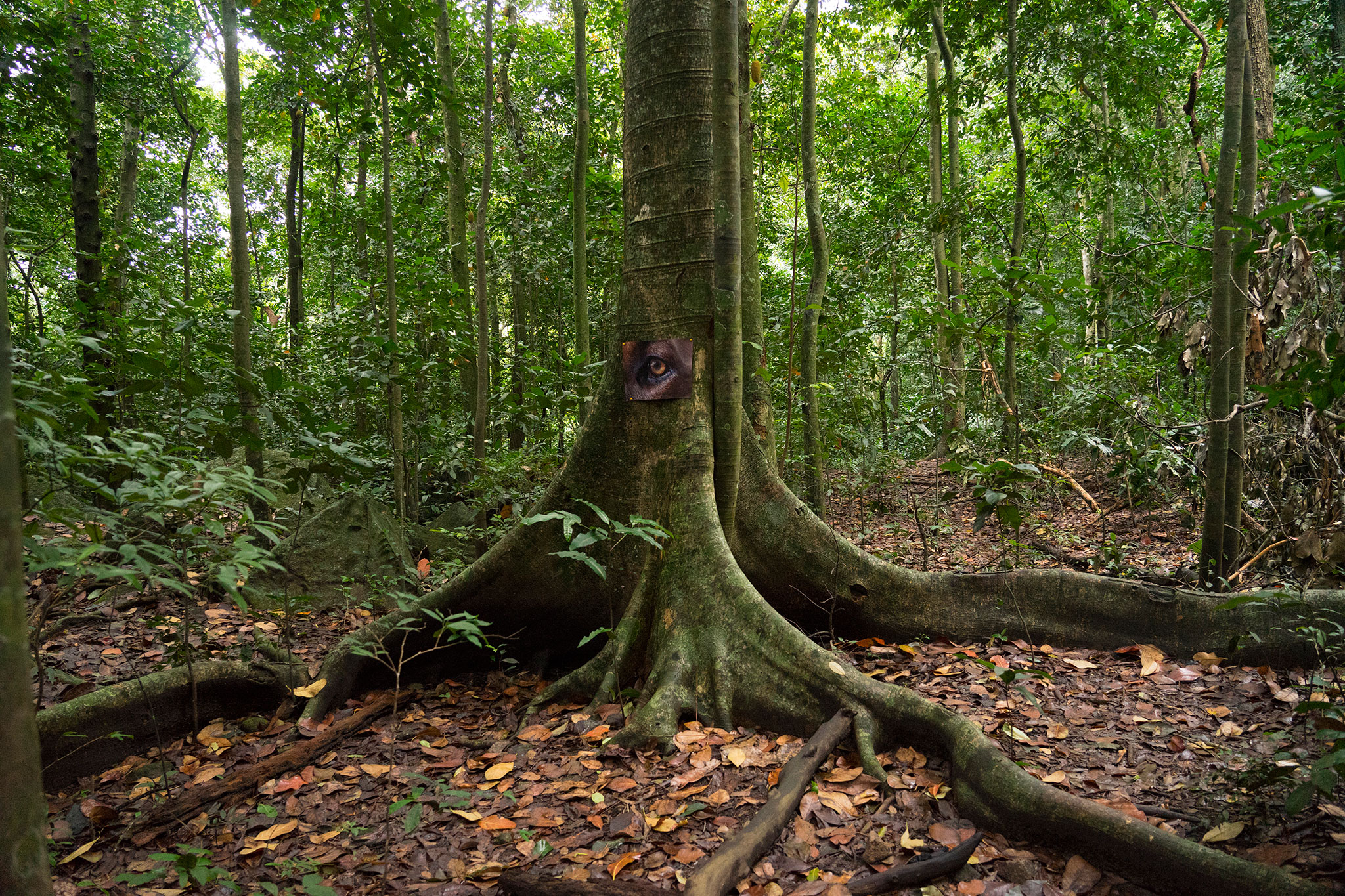 丨芬兰赫尔辛基-16
