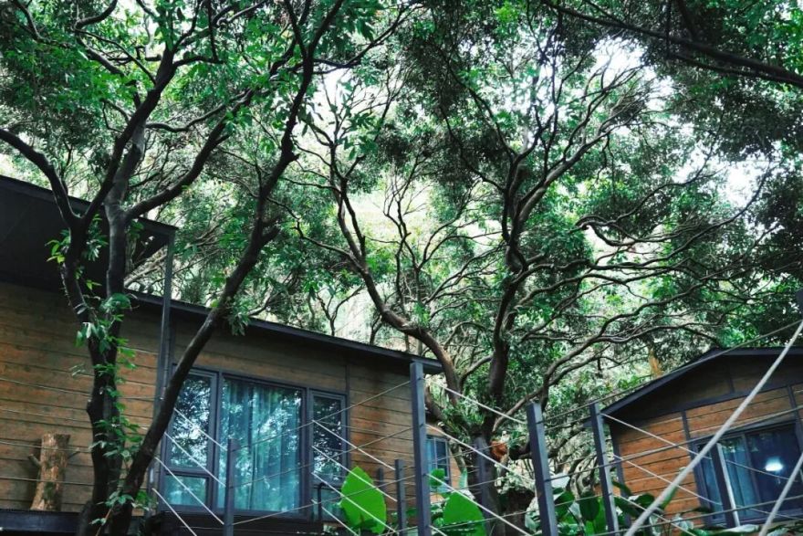 森・LOVE度假村盛大开业,集团创始人徐凯宏亲启千年古树秘境-54