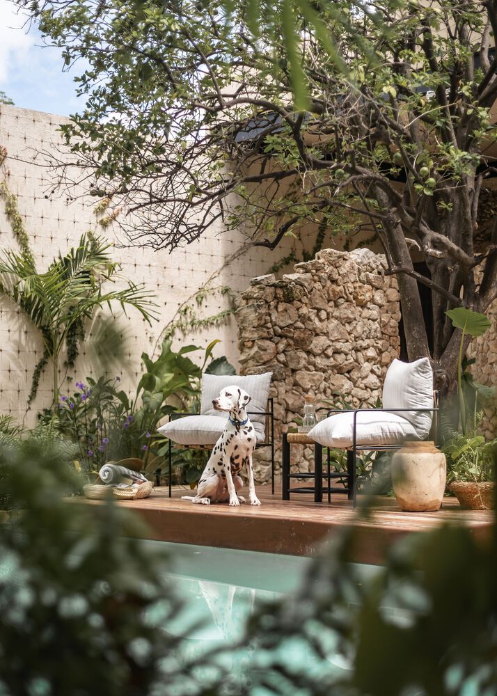 墨西哥 Pakaal House-31