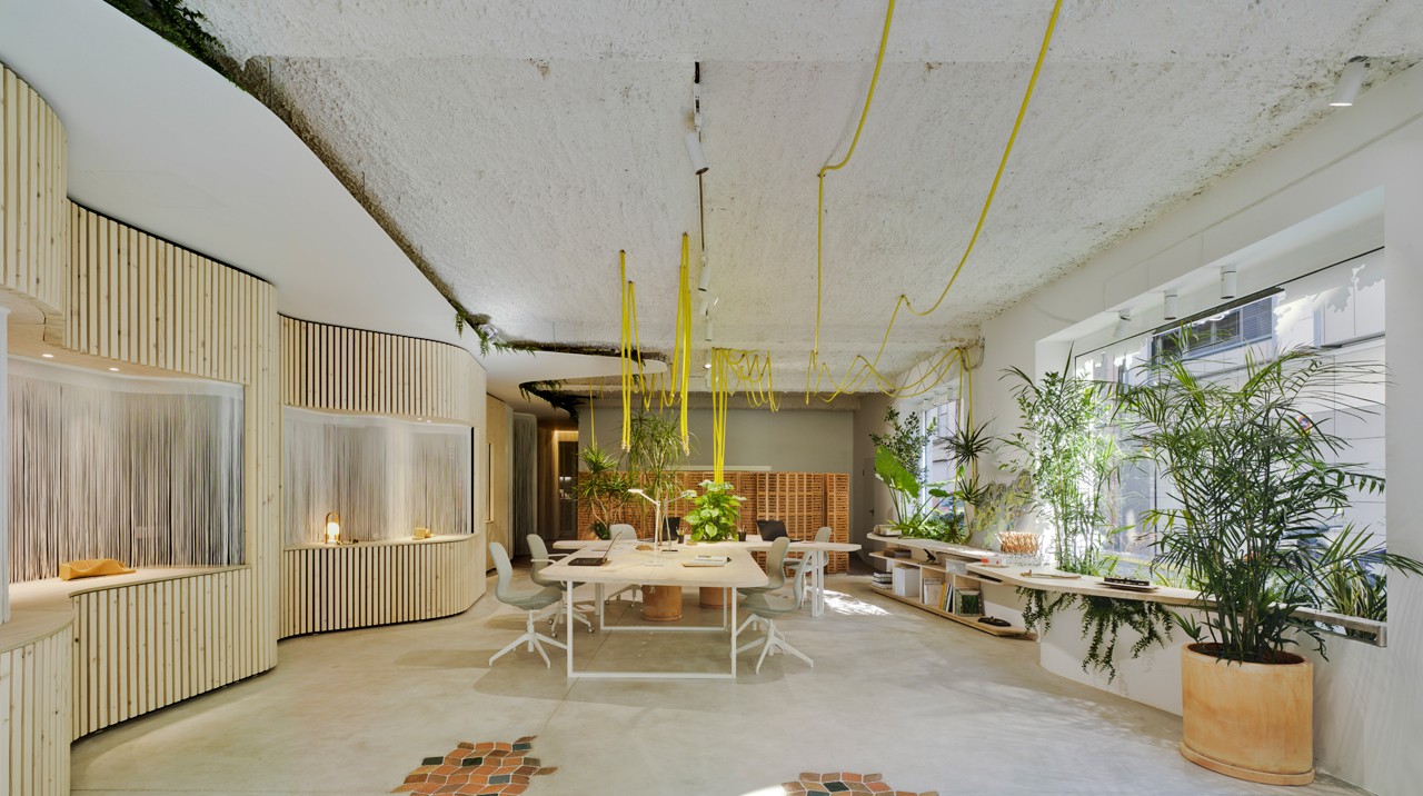 Antonio Maciá打造自然风绿意办公室-1