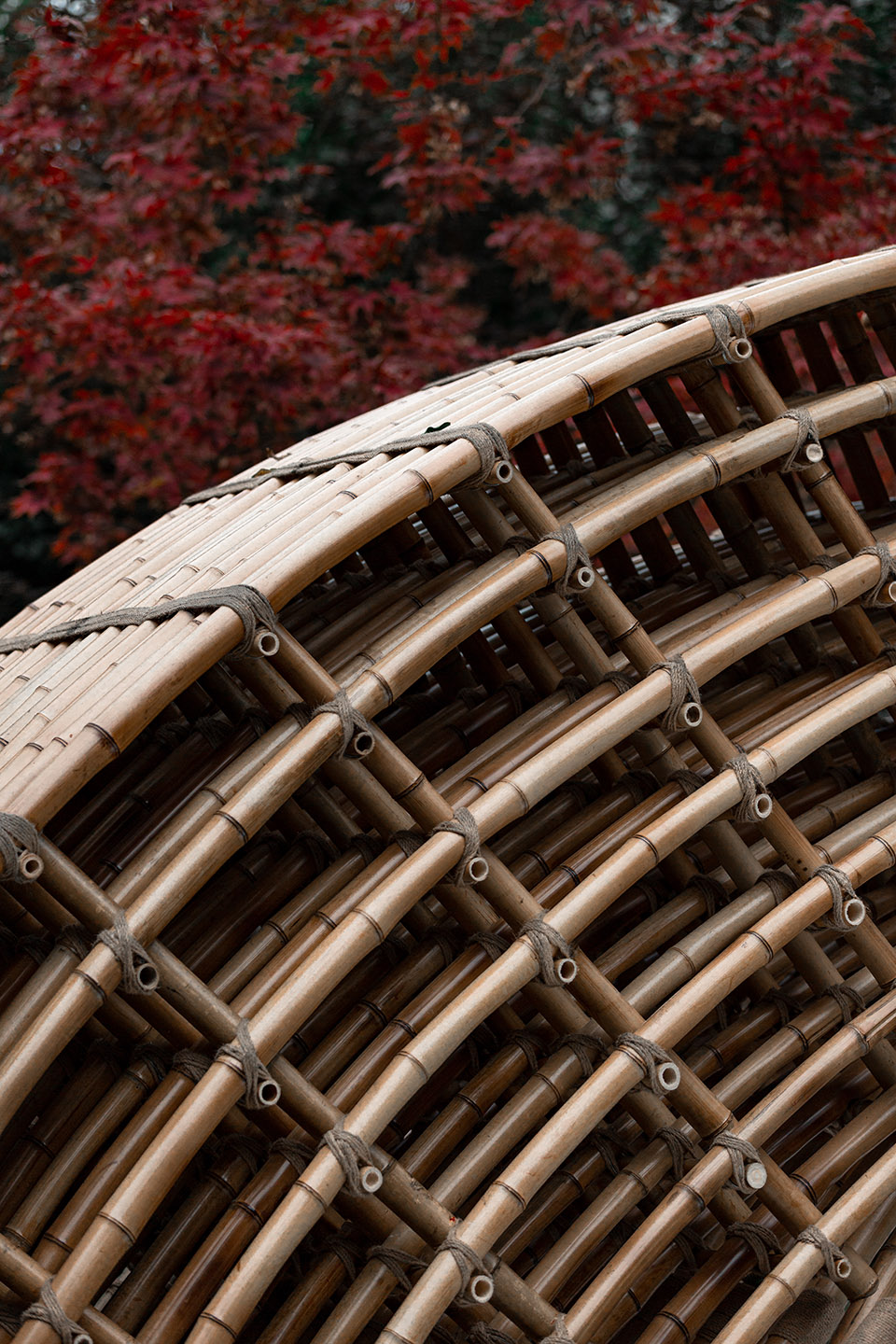 悬竹，上海 / 来建筑-设计工作室-64