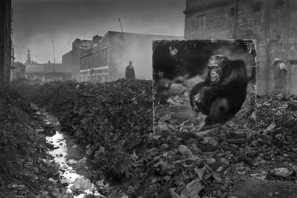 《尘土继承》——香港 Blue Lotus 画廊 Nick Brandt 摄影展-35