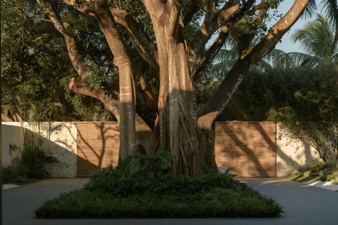 三亚野奢会所丨中国三亚丨朗道设计-31