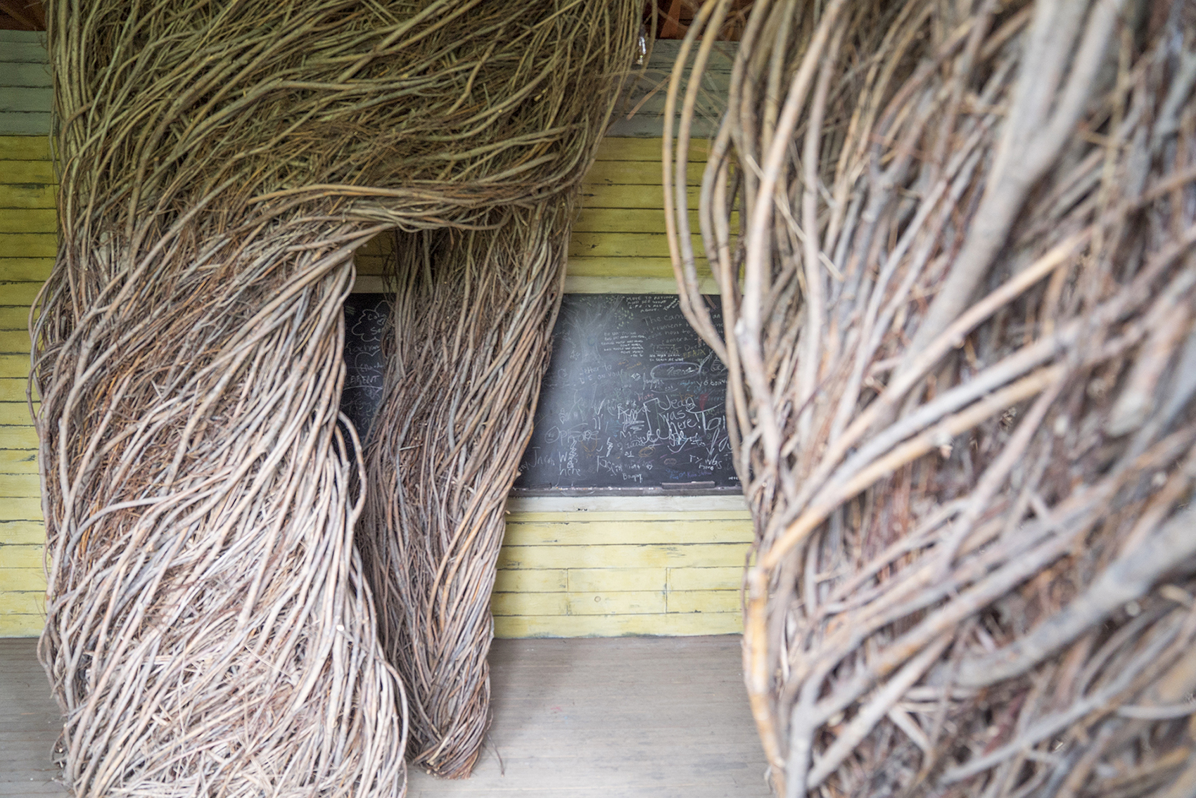 “白日梦”校舍，美国 / Cushing Terrell-24