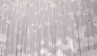 石头兄弟联创设计|天鹅飞过的地方,惊艳了时光。-46