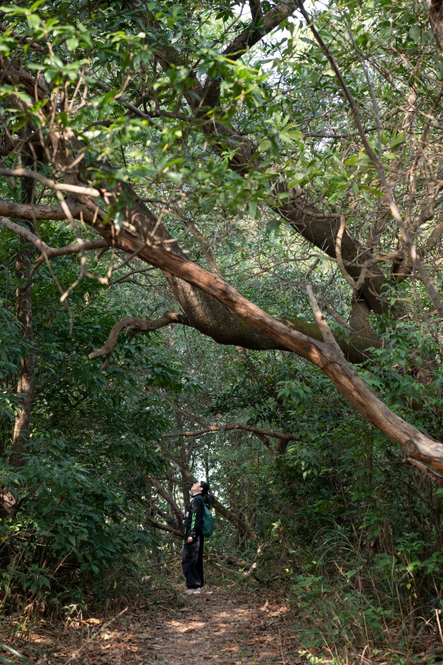 深圳市罗湖区东湖公园郊野径 – 莲塘口岸线丨中国深圳丨深圳市未名设计顾问有限公司 (WMLA)-48