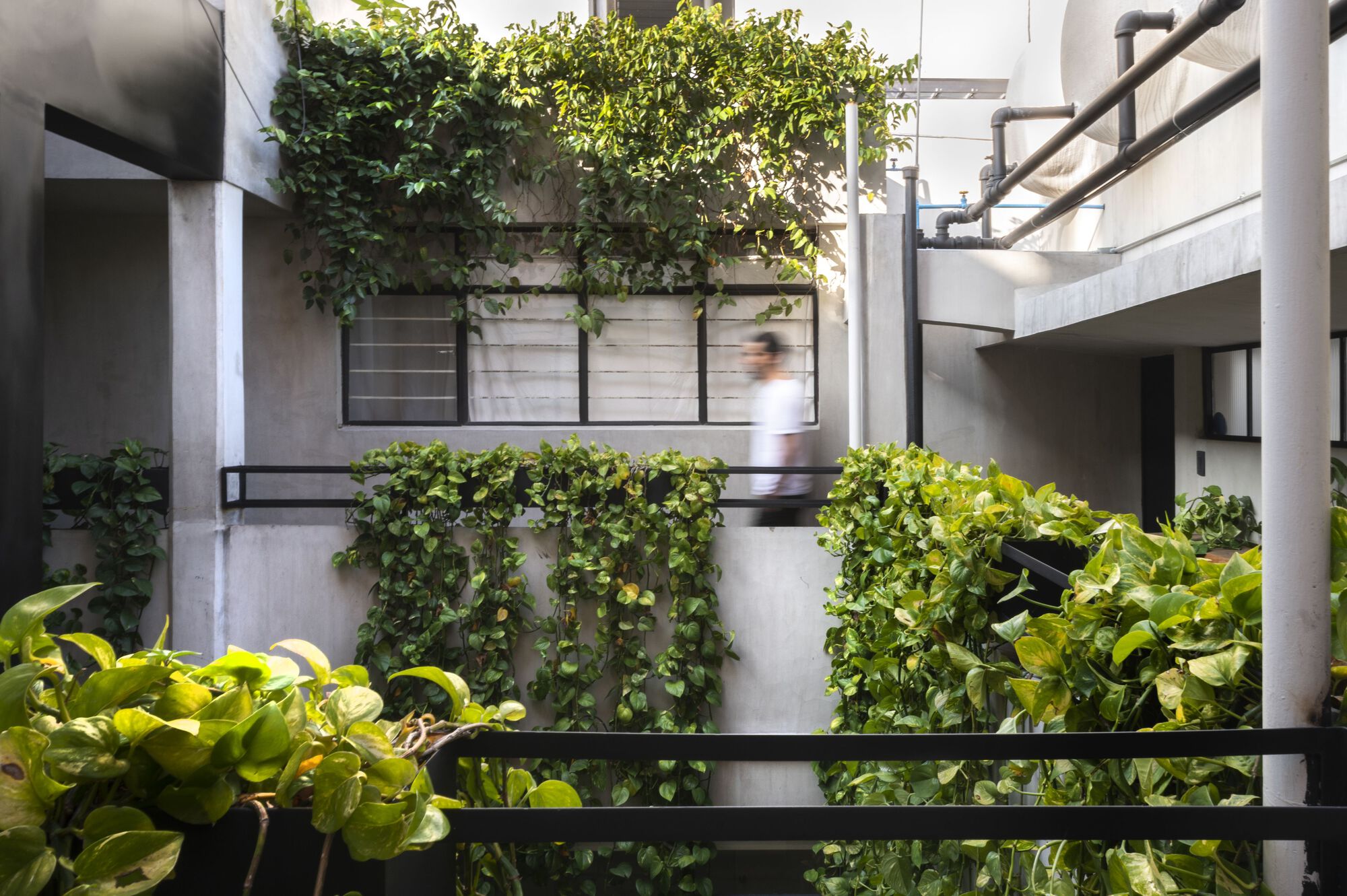 Pachuca 81 建筑改造丨墨西哥墨西哥城丨Namikase Studio-10