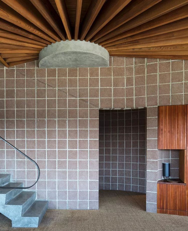 纽约曼哈顿高层住宅,杰米·布什的自然历史艺术设计-87