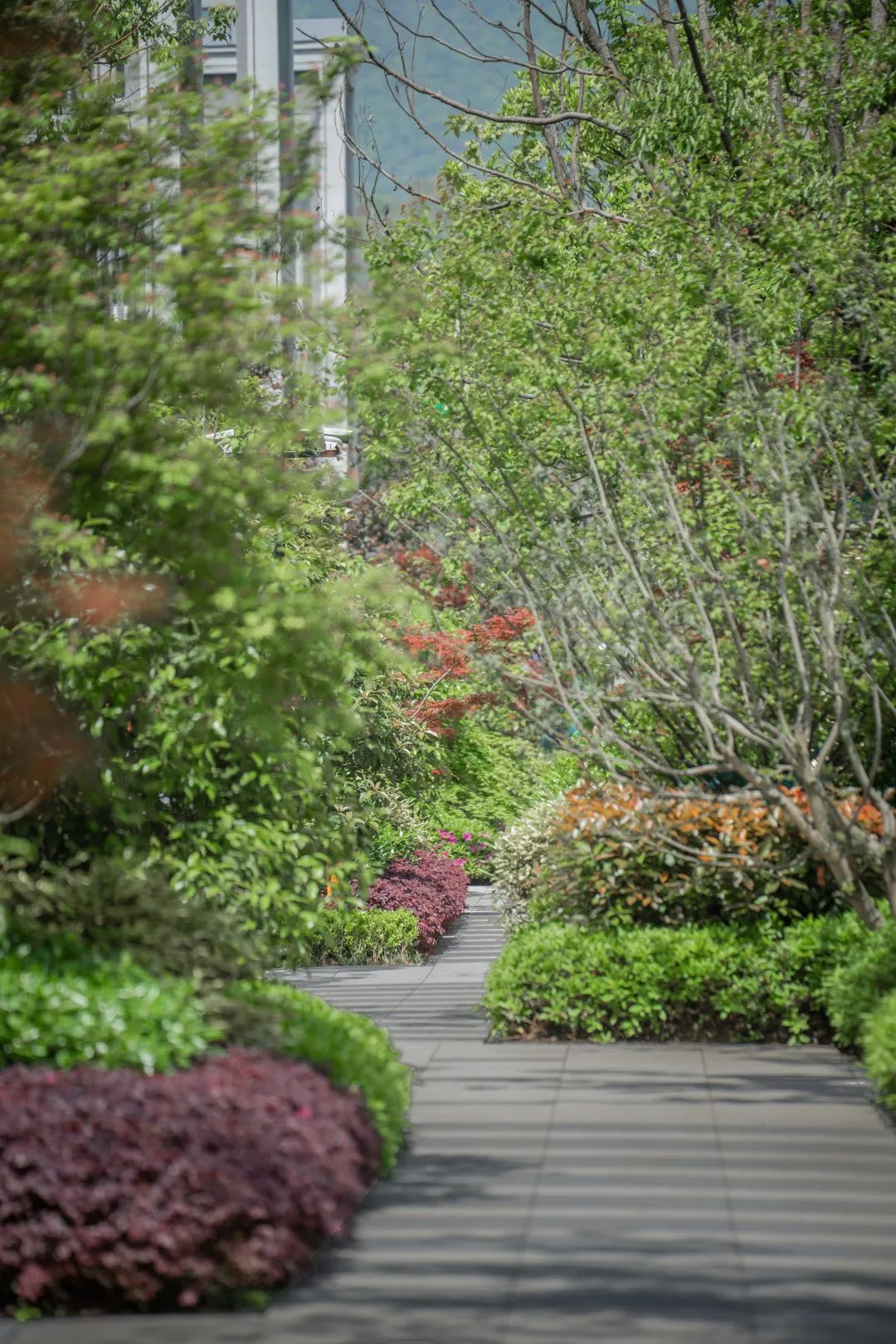 中南作品 | 建德江上云起，临江画境，自然盛景-62