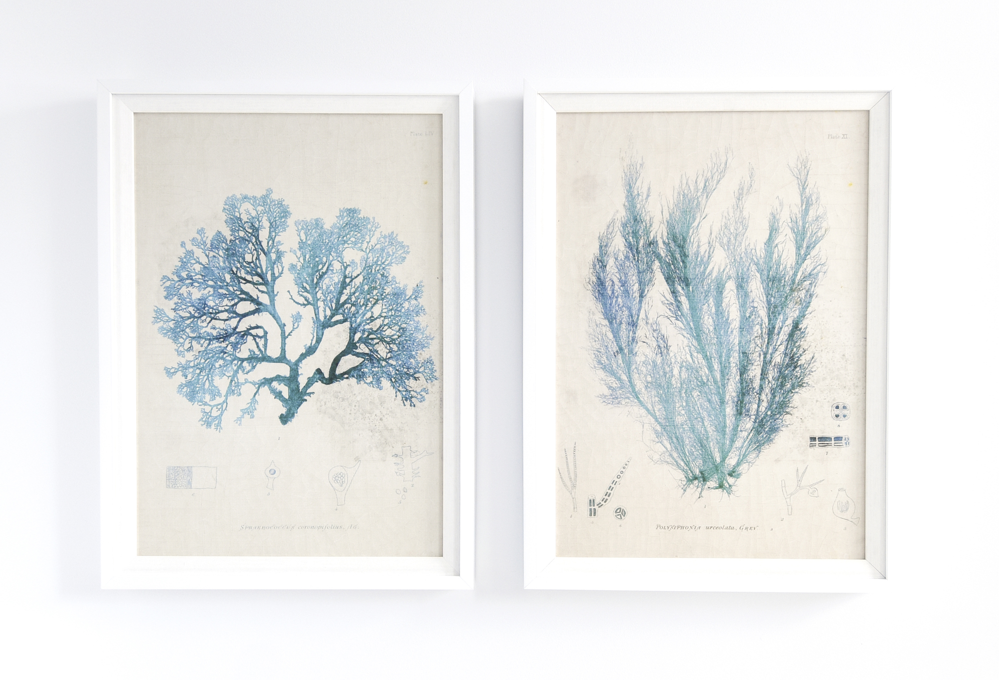 ATLANTIC CLUB Denton House-7