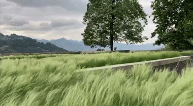 丨中国泸州丨Jiakun Architects-88