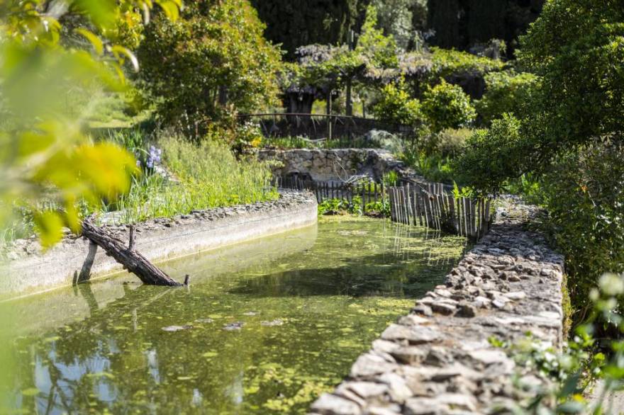The Gardens of the International Perfumery Museum - France-12