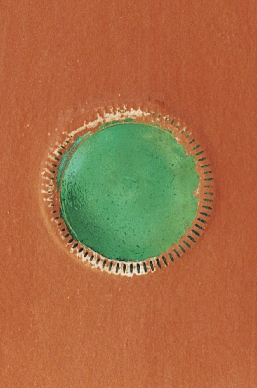 鲁菲斯克妇女中心丨Senegal丨Hollmén Reuter Sandman Architects-30