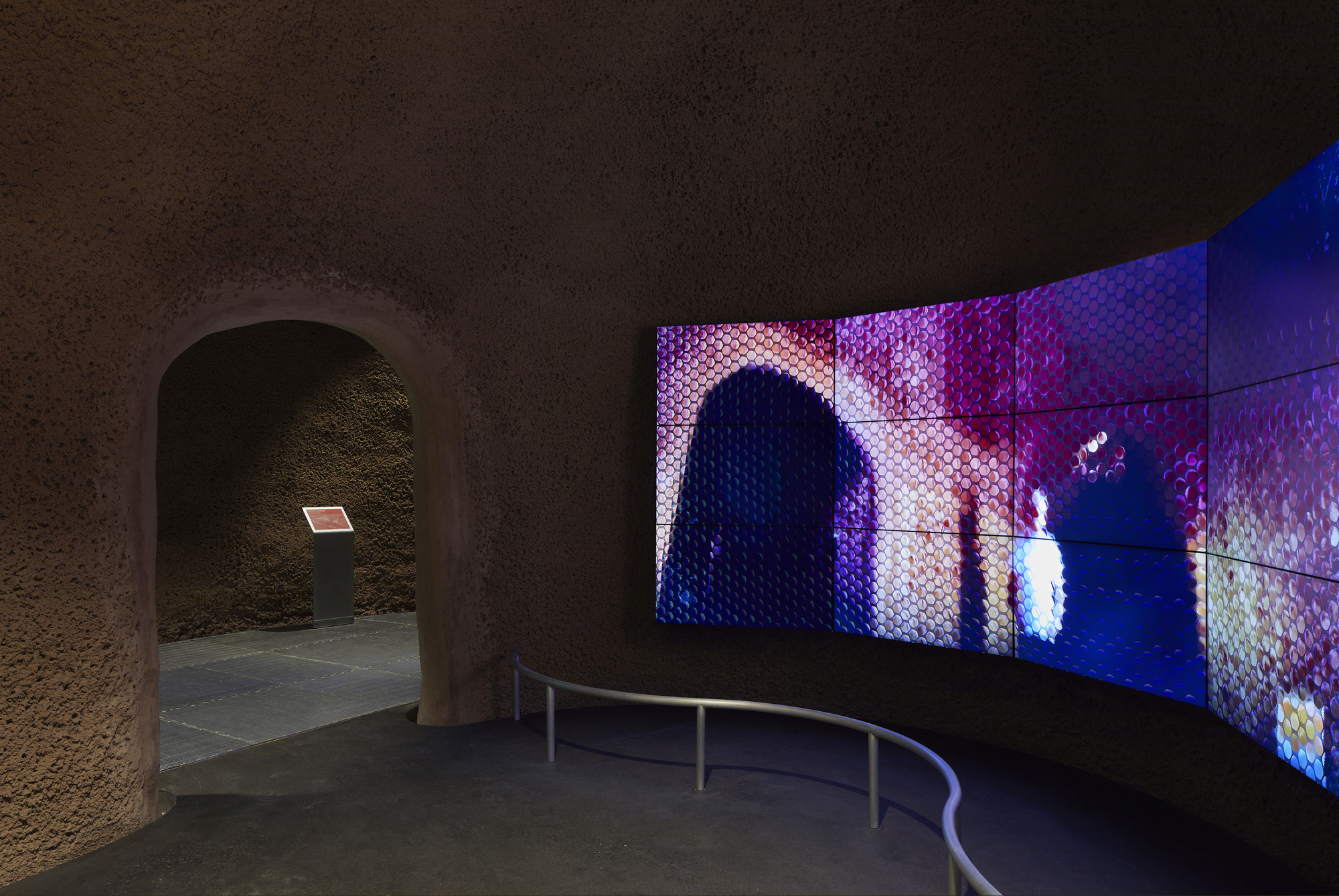 蒙特利尔昆虫馆丨加拿大蒙特利尔-29