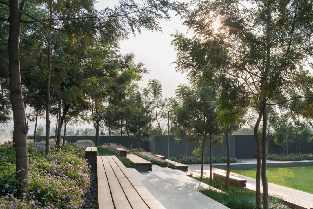 印度 Lupin Research 公园-25