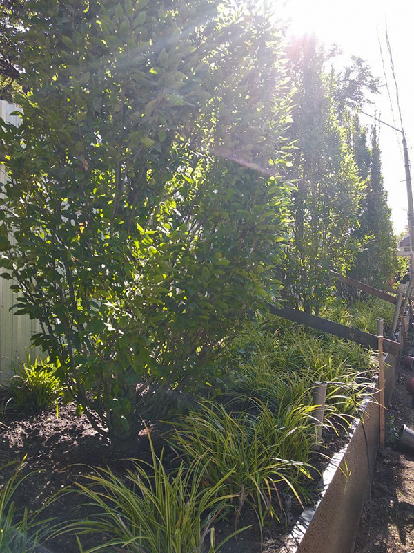 店铺景观设计-20