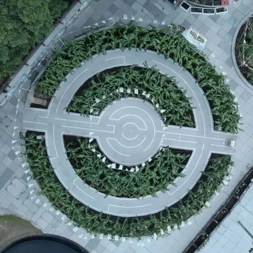 香港KFarm · 高科技农场的绿色奇迹丨中国香港丨陈启豪等-61