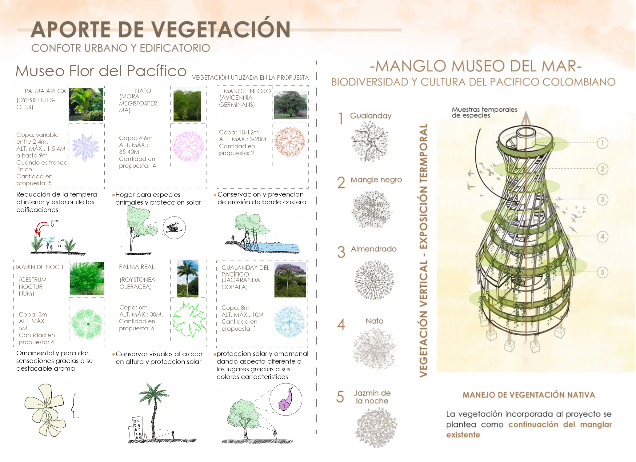 植物建筑学作品集-13