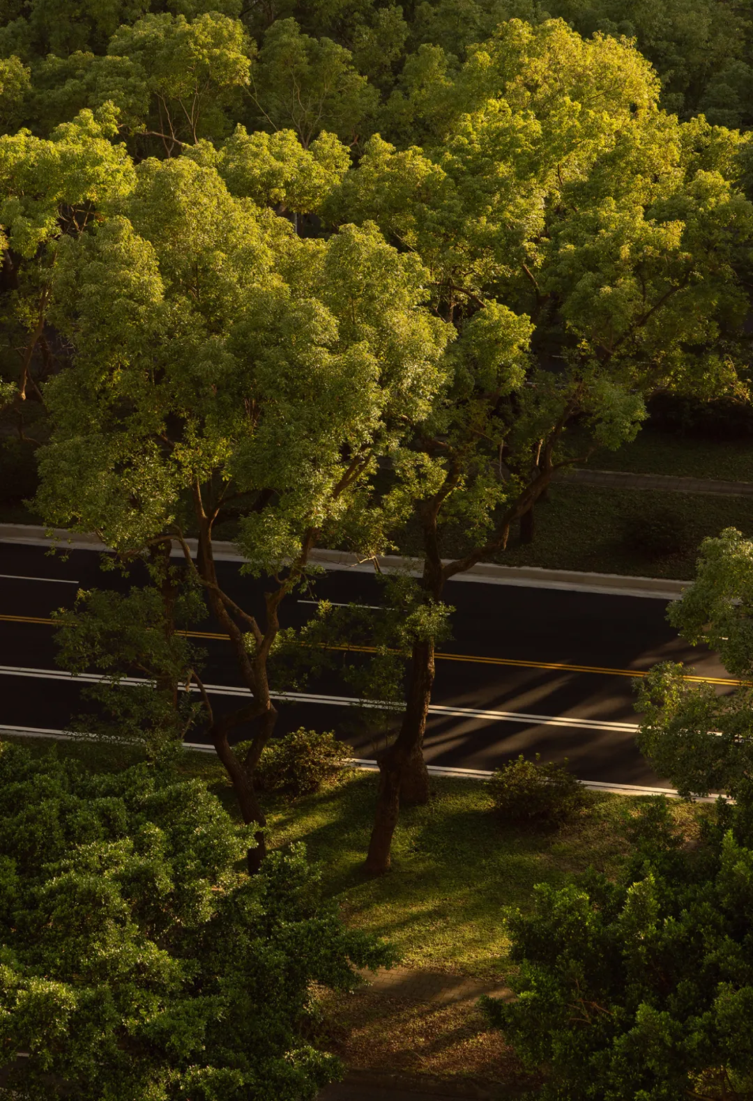 台北嘉佩乐酒店丨中国台北丨室内设计André Fu Studio,建筑设计日本森大厦-2