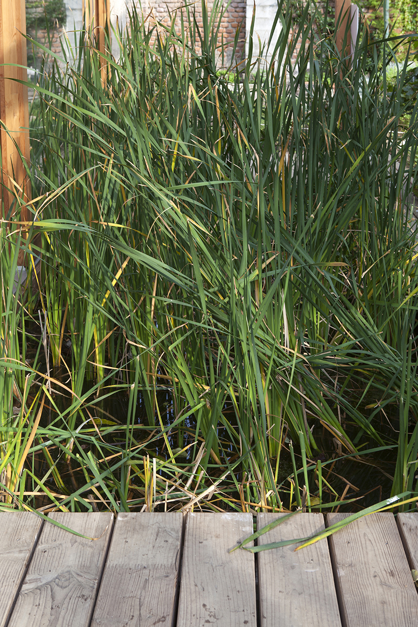 台风屋·2015年米兰世博会展览馆-32