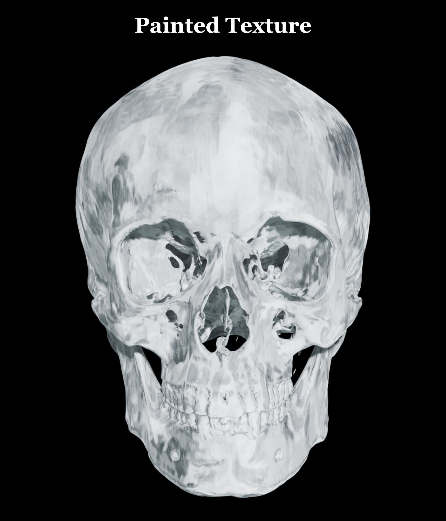 风格化生物学-14