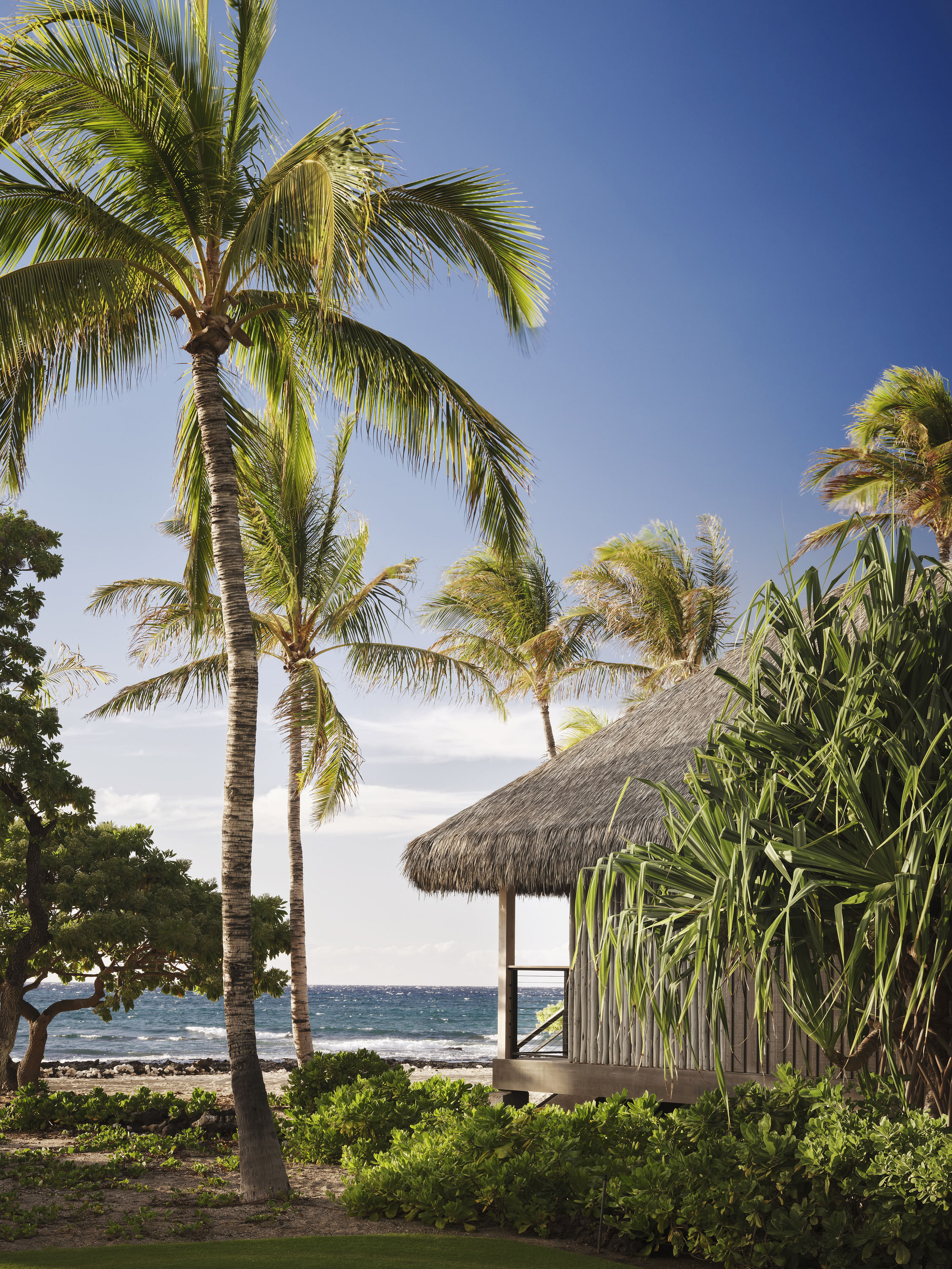 丨美国夏威夷丨Walker Warner-43