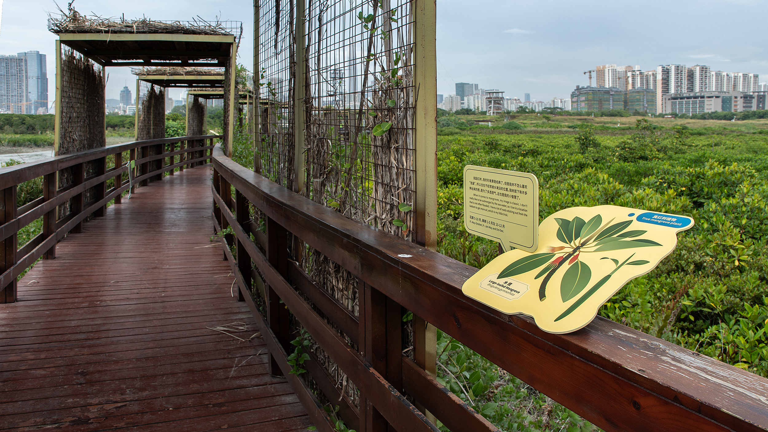 深圳红树林生态公园户外科普互动导视设计丨中国深圳丨共生领域(北京)文化传媒有限公司-43