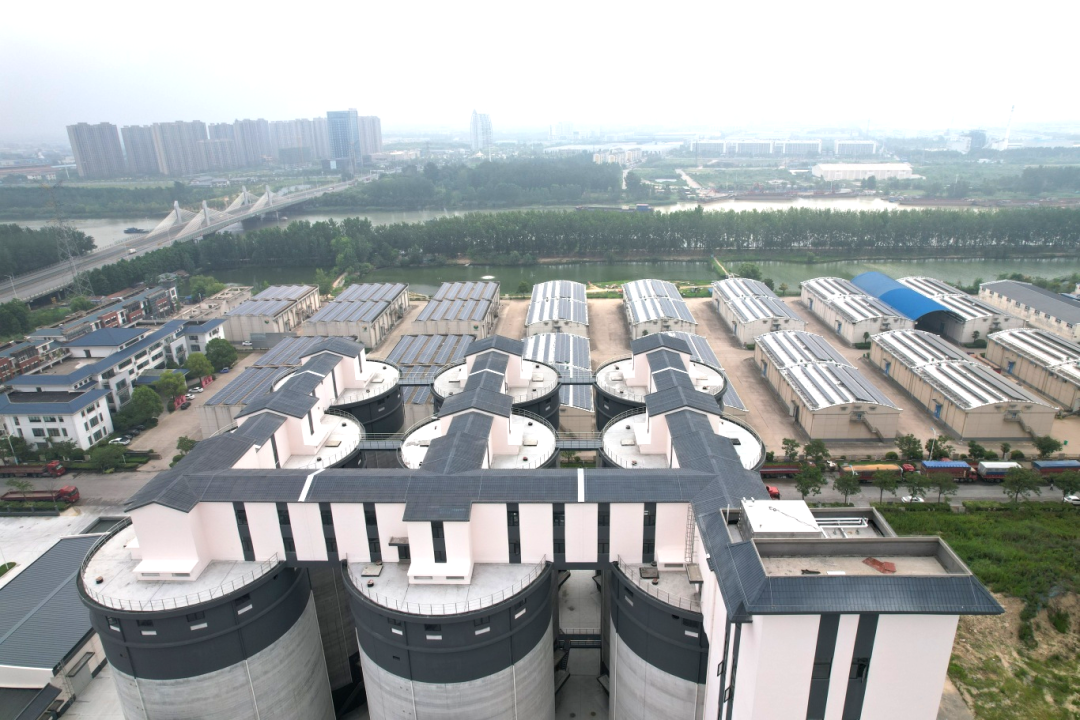 建证高质量发展|品质建造“大国粮仓”！中建国际承建的苏宿粮食仓储与加工项目竣工-39