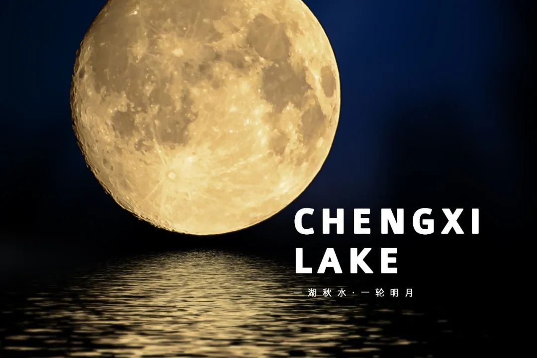 亚菲酒店丨中国安徽丨ZNG 智恒设计-14