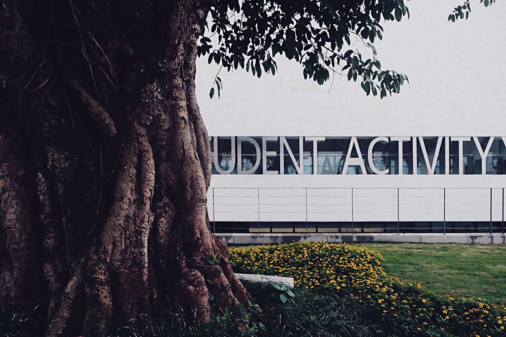 成都工业学院宜宾校区学生活动中心丨中国宜宾丨同济大学建筑设计研究院(集团)有限公司-90