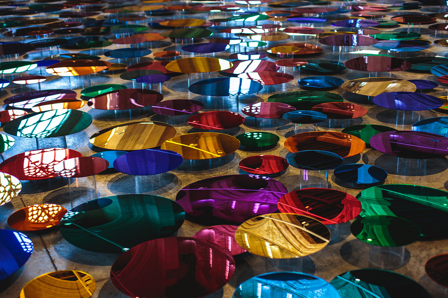 我们的色彩反射 / Liz West-5