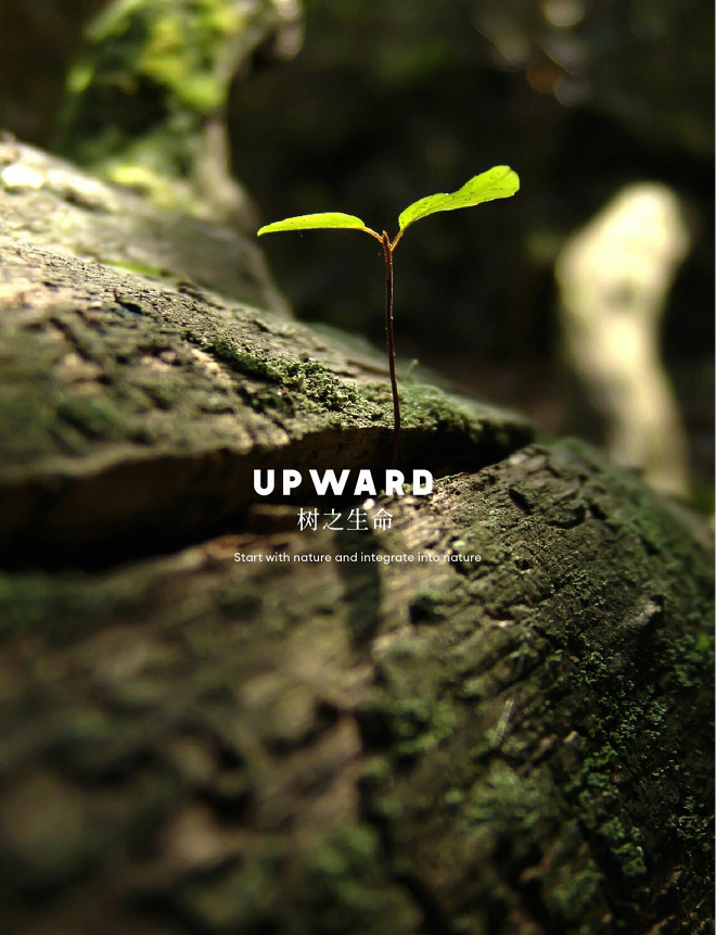 世博一号销售中心丨中国昆明丨元禾大千,鲲誉设计,上海璞间建筑设计有限公司-11