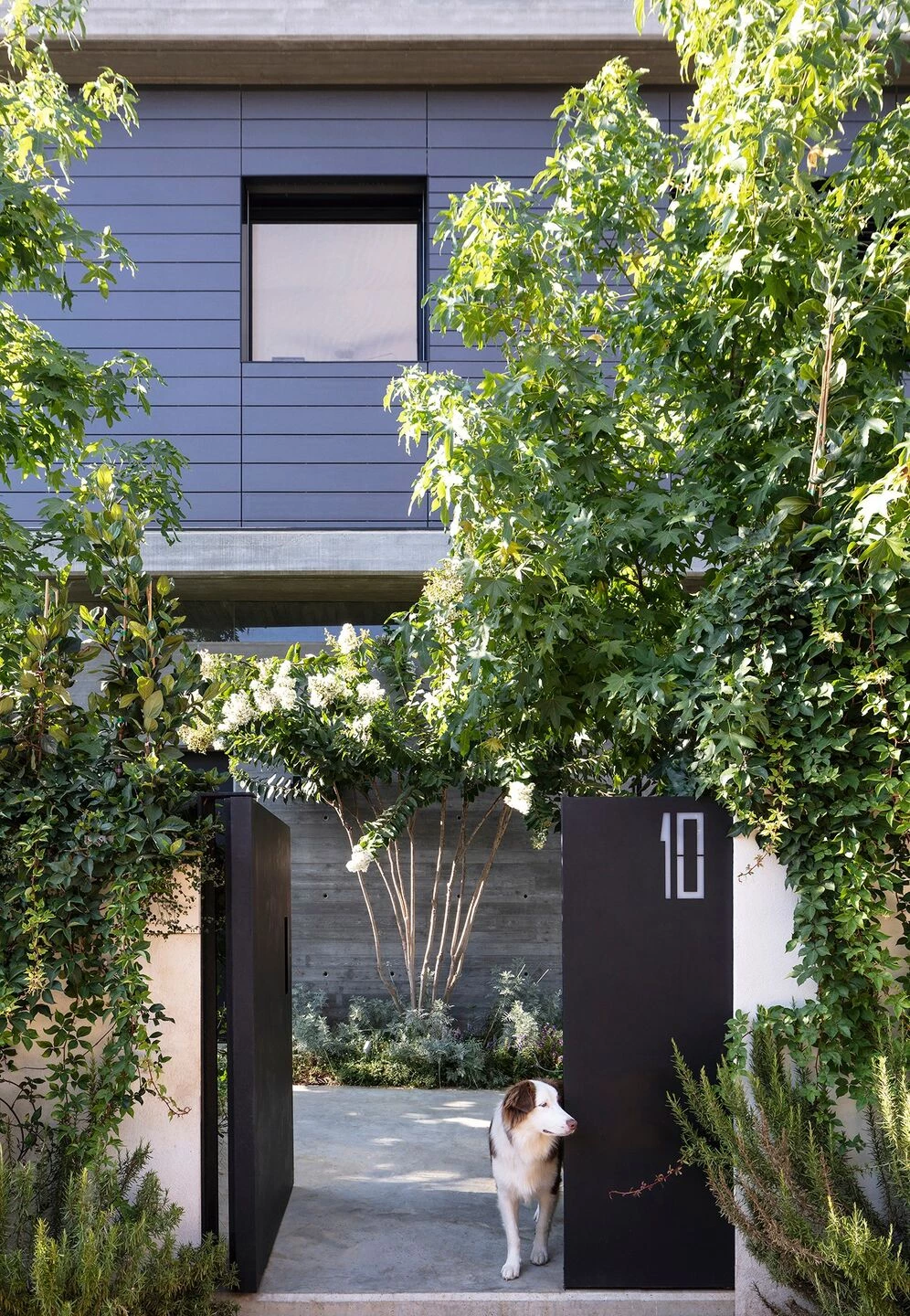 以色列特拉维夫互锁盒子住宅-7