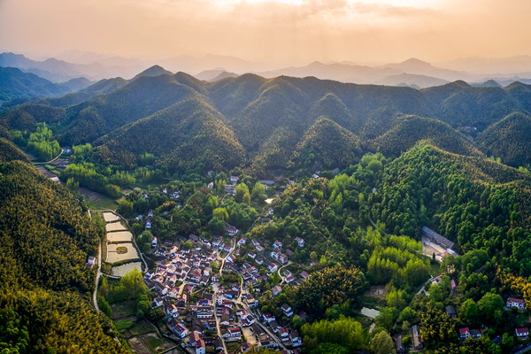 尚品｜南陵县家发镇联三村和美乡村精品示范村和板石岭乡村旅游提升项目：以“桂”为核，绘就农文旅融合新图景-5