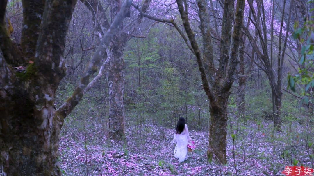 李子柒家居搭配揭秘 | 世外桃源的创意设计-43