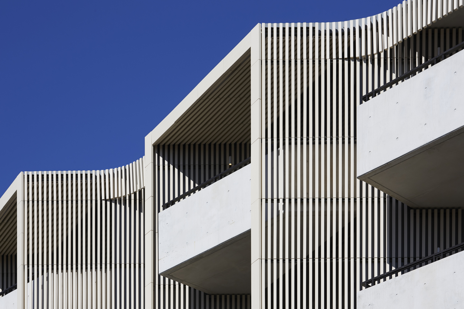 悉尼邦迪海滩的雕塑建筑 · Pipi 住宅楼丨澳大利亚悉尼丨Smart Design Studio-59